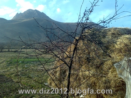 http://s1.picofile.com/file/7673937418/20131122390.jpg