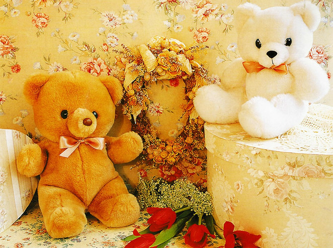 خرس های عاشقانه عروسکی