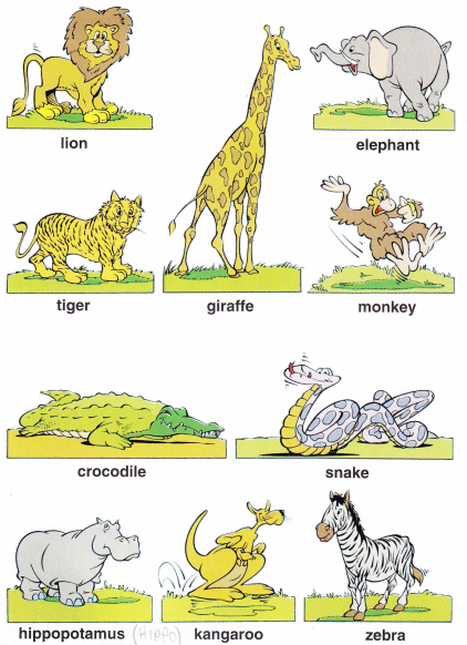 animals_2.png