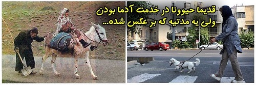 http://s1.picofile.com/file/7703351719/ensan_heyvan.jpg