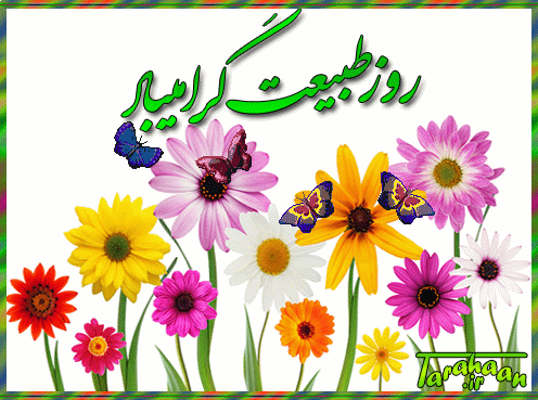 کارت پستال درخواستی طراحان