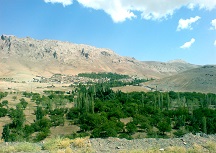 میرجان