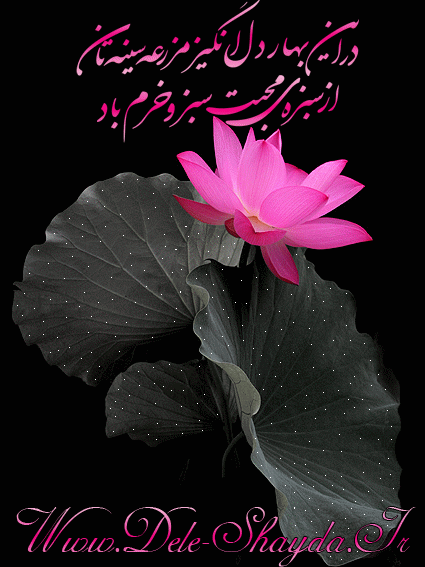 عاشقانه های دل شیدا