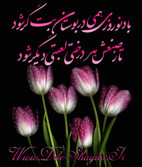عاشقانه های دل شیدا