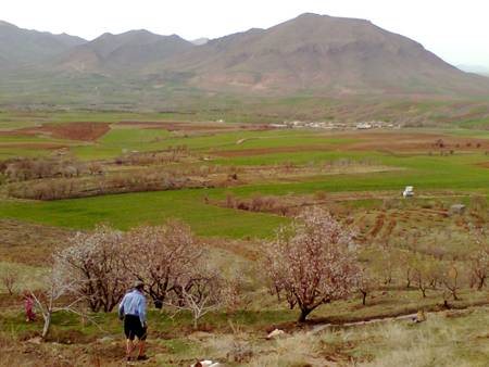 http://s1.picofile.com/file/7707549779/25.jpg