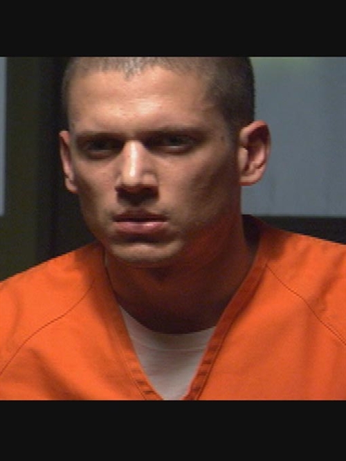 wentworth miller's fans