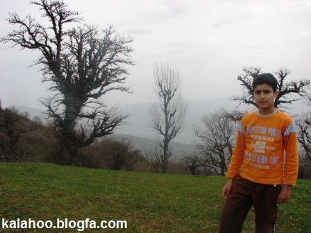 کلاردشت - نیکان پسندمعصومی