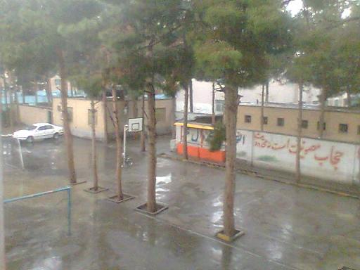 http://s1.picofile.com/file/7717568167/ba.jpg