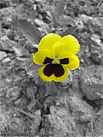 اردیبهشت 91 . پایتخت