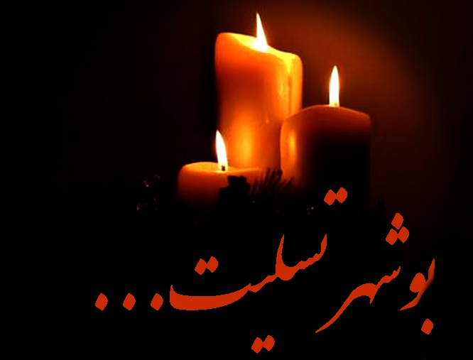 بوشهر