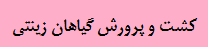 گیاهان زینتی