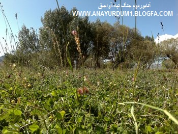 طبیعت بی نظیر روستای 