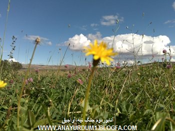 طبیعت بی نظیر روستای 