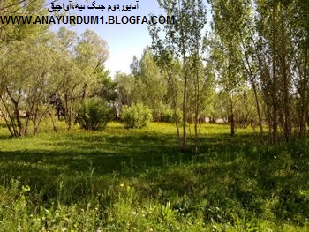 باغچه های بین 