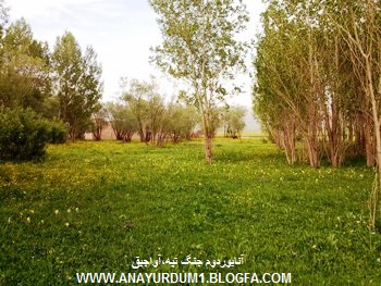 طبیعت بی نظیر روستای 