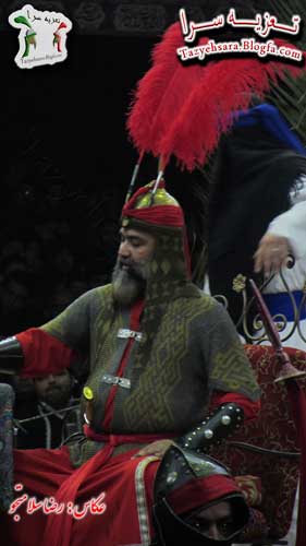 سید محمد رضا امینی