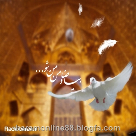 پاسخ به:عاشقان امام رضا