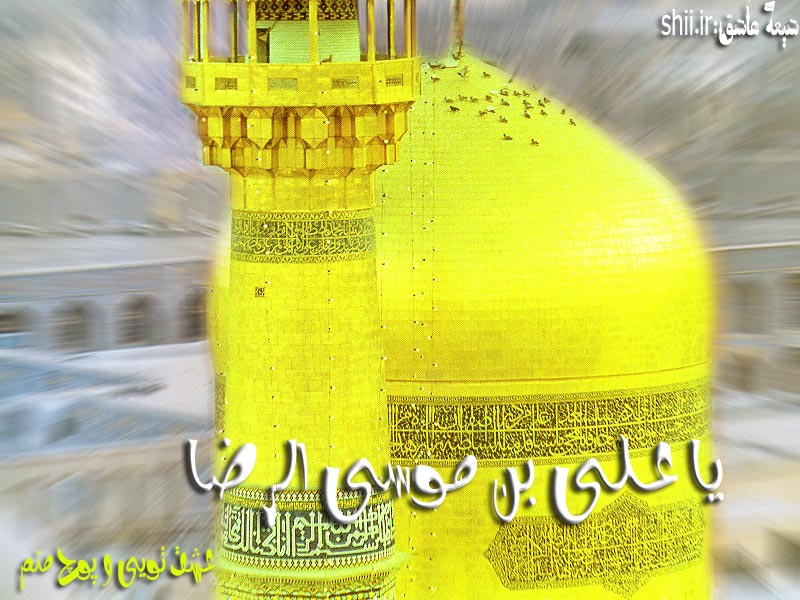 امام رضا،شیعه عاشق،شیعه ها،شیعه  مذهبی،شیعه،یا علی مدد،یا حیدر مدد