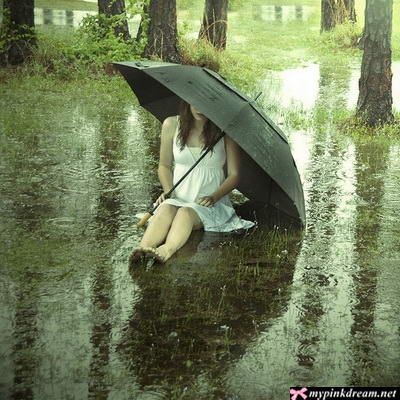http://s1.picofile.com/file/7834510000/3388858782cb84.jpg
