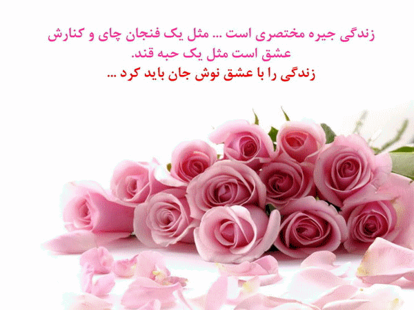 پاسخ به:اینجا همه چیز عالیه!!