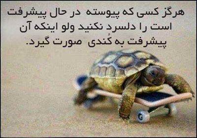 پاسخ به:چند سطر یادگاری