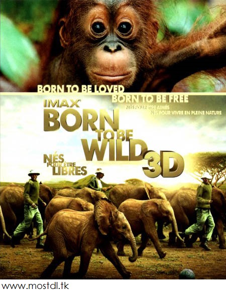 دانلود مستند IMAX Born To Be Wild  - دو کیفیت متفاوت + نسخه 3D