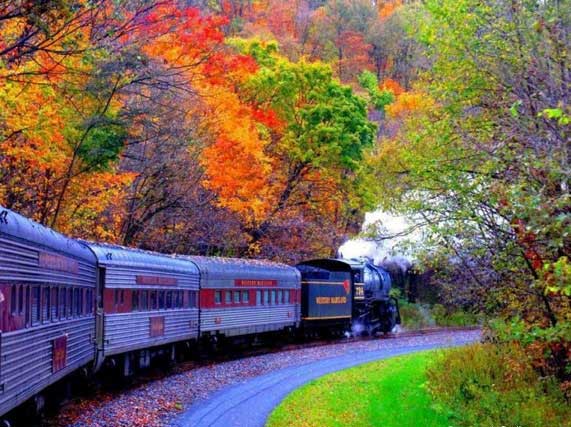 برای مرجانم