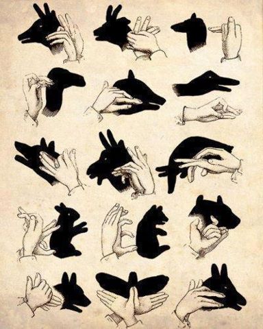 دست و سایه ـ ساخت تصویر حیوانات با استفاده از سایه دست
