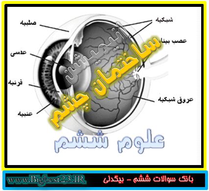 ساختمان چشم