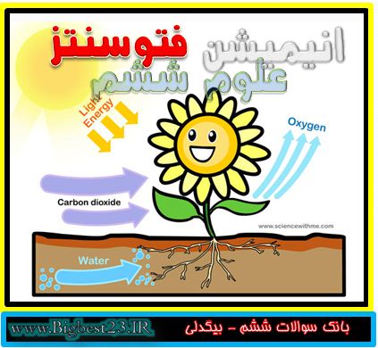 فتوسنتز