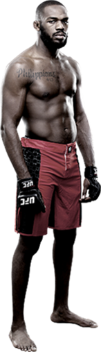 نتایج UFC 165 : Jones vs. Gustafsson به تاریخ 9.21.2013
