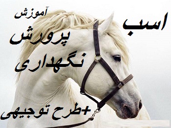 http://s1.picofile.com/file/7933895799/%D9%BE%D8%B1%D9%88%D8%B1%D8%B4_%D8%A7%D8%B3%D8%A8.jpg