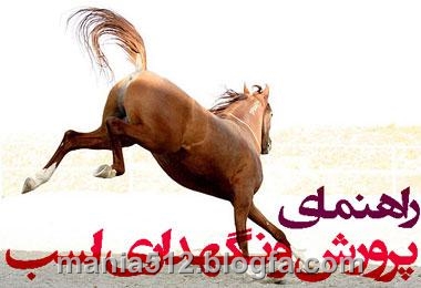 http://s1.picofile.com/file/7933896341/%D9%BE%D8%B1%D9%88%D8%B1%D8%B4_%D8%A7%D8%B3%D8%A81.jpg