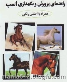 http://s1.picofile.com/file/7933896662/%D8%B1%D9%88%D8%B1%D8%B4_%D8%A7%D8%B3%D8%A8_2.jpg