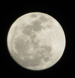 http://s1.picofile.com/file/7942897197/IMG_3062.jpg