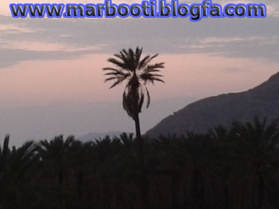 http://s1.picofile.com/file/7955906662/nakhl1.jpg