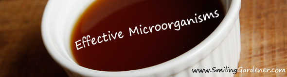 http://s1.picofile.com/file/7956178709/effective_microorganisms.jpg