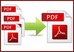 PDF_Split