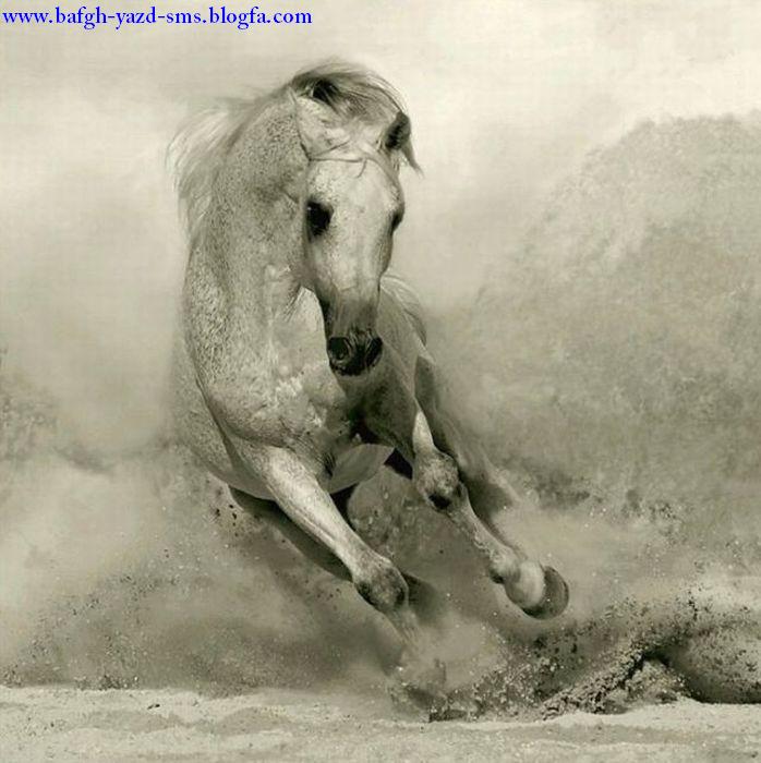 آلبوم عکسهای زیبا