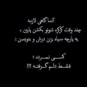 پاسخ به:اینجا همه چیز عالیه!!