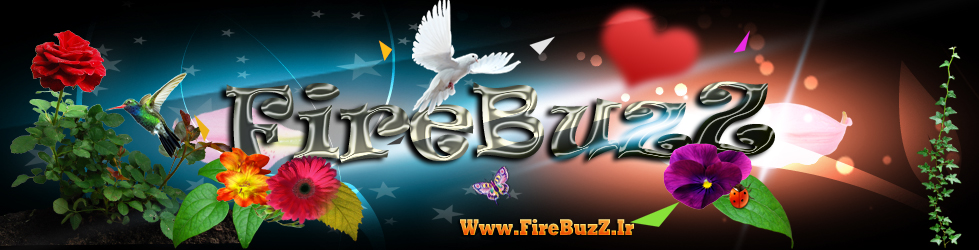 FireBuzZ TM Community