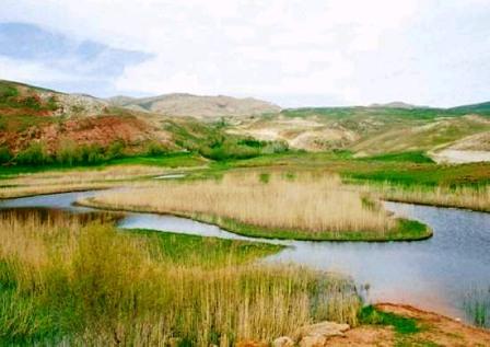 چملی/چمن متحرک_روستای بدرلو_شهرستان_تکاب