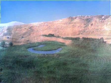 چملی/چمن_متحرک_روستای بدرلو_شهرستان_تکاب