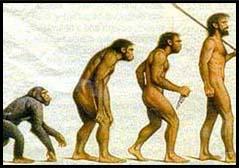 Human