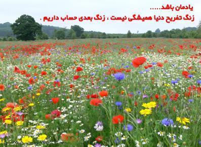 http://s1.picofile.com/file/8124744318/sipZci.jpg