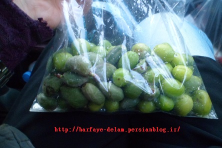 http://s1.picofile.com/file/8124798350/harfaye_delam_persianblog_ir_5_.jpg