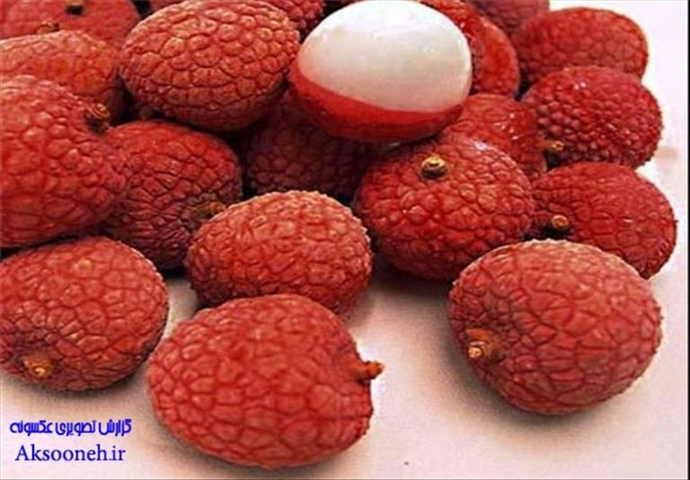 عکس های دیدنی از میوه های عجیب دنیا