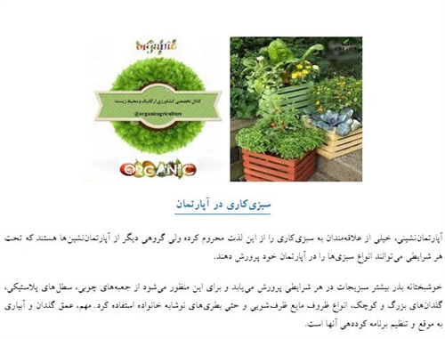 سبزی کاری در اپارتمان