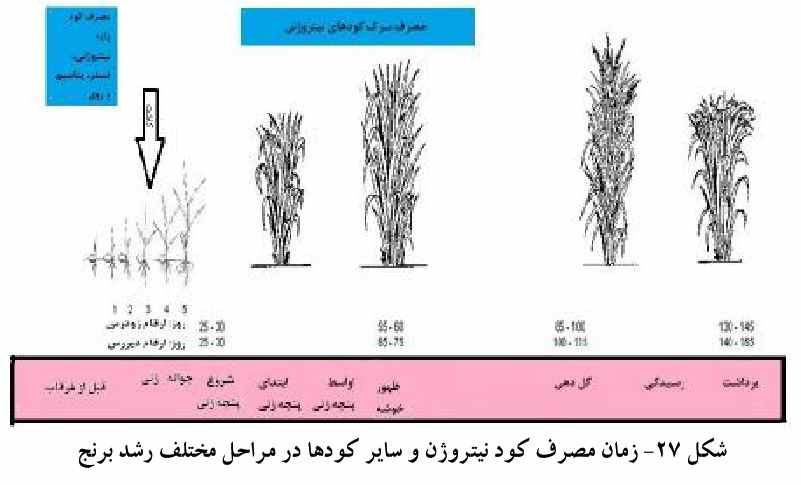 دستورالعمل مدیریت تلفیقی حاصلخیزی خاک و تغذیه برنج