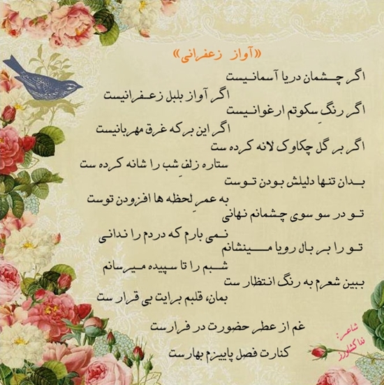 کوچه باغ سایت 7 کوچه باغ سایت 7